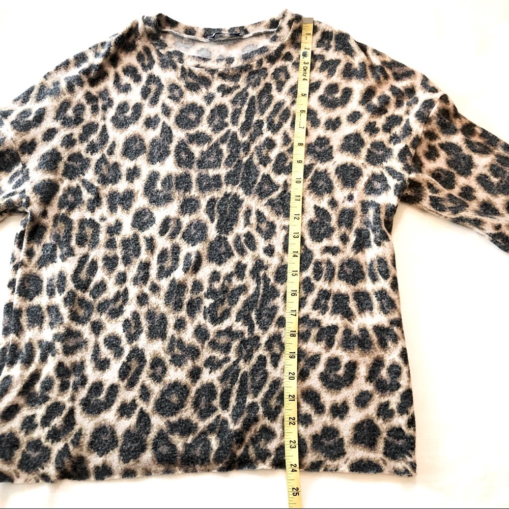 Zara Trafaluc Animal Print Top - Picture 8 of 16